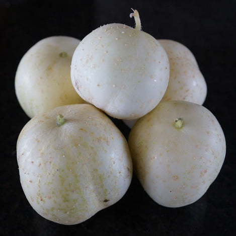Cucumber Apple Seedling