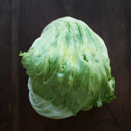 Lettuce Iceberg Seedlings