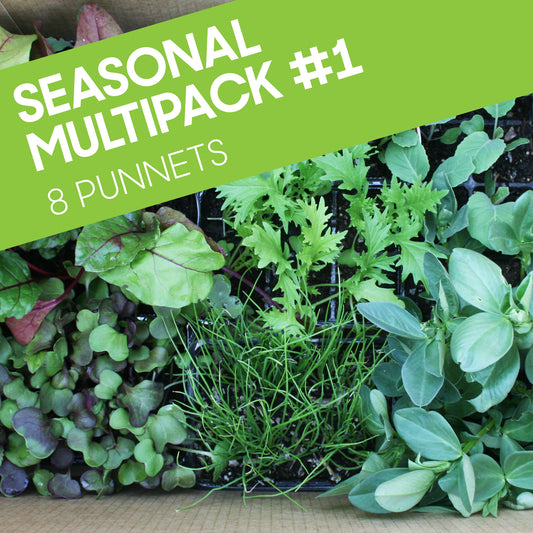 Seasonal Multipack #1: 8 punnets (Eight punnets for the price of six punnets)