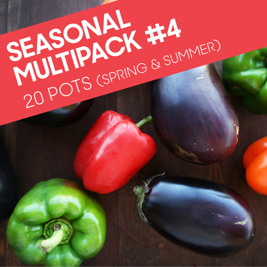 Seasonal Multipack #4: 20 pots ( 20 pots for the price of 17)
