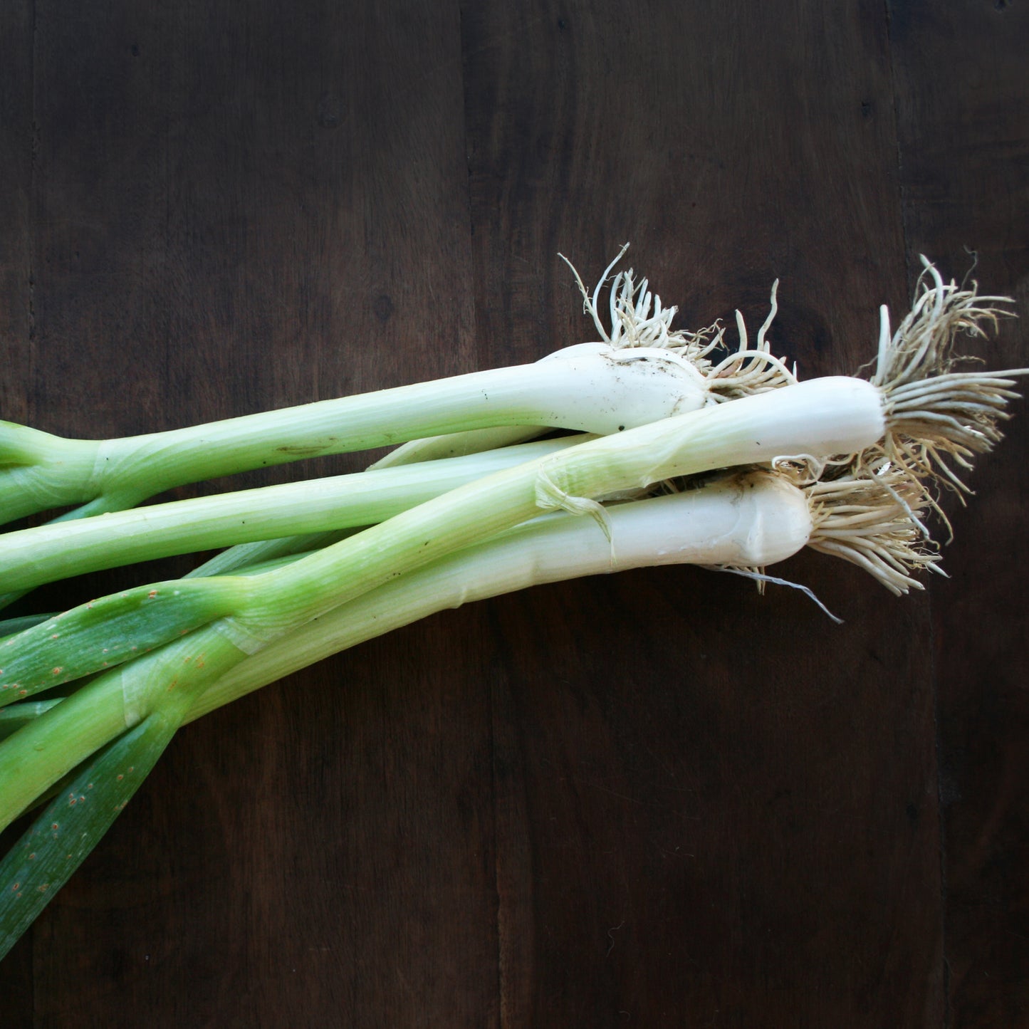 White Stem Spring Onions mature