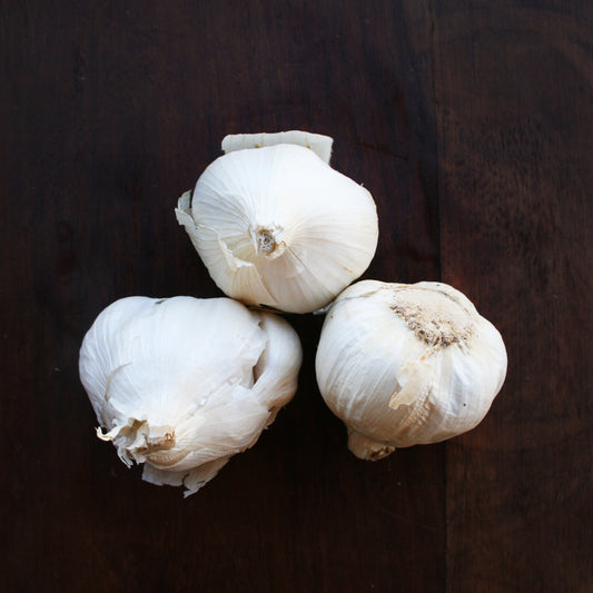 Garlic mature