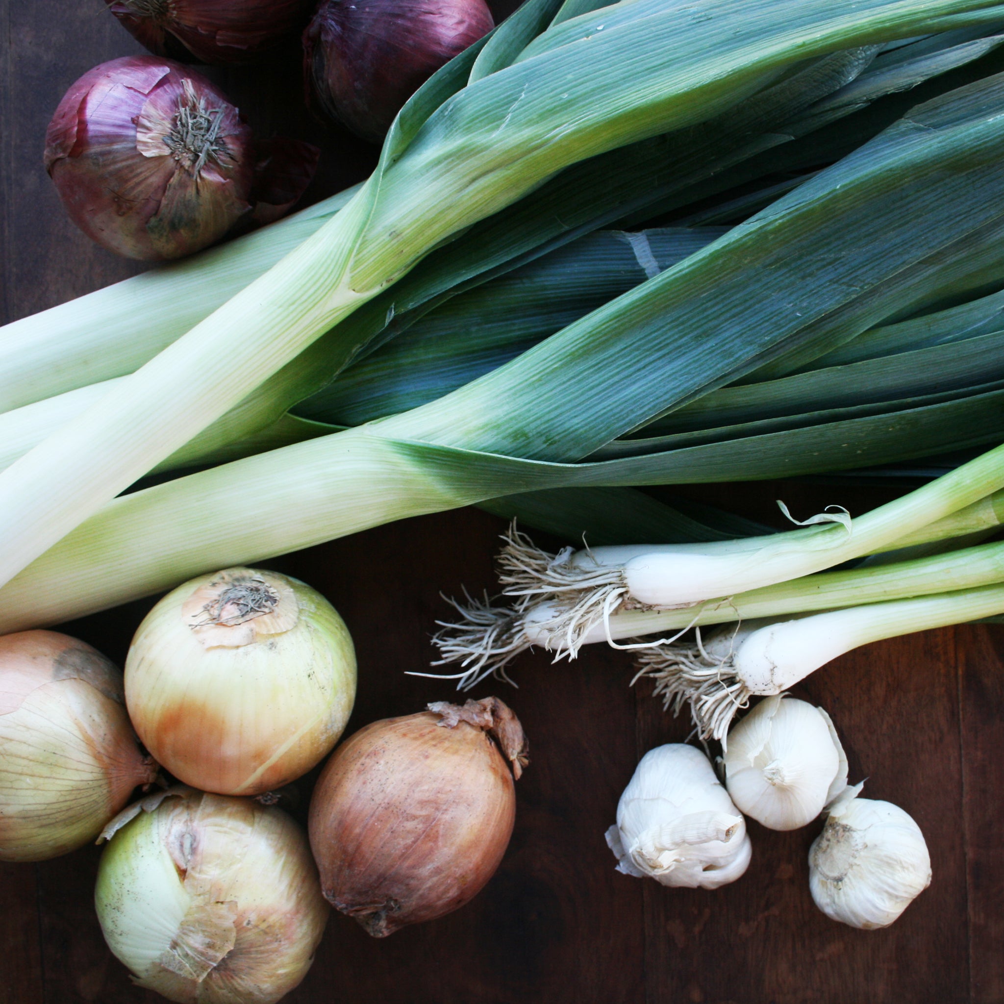 Onions – Weathersfield Organics