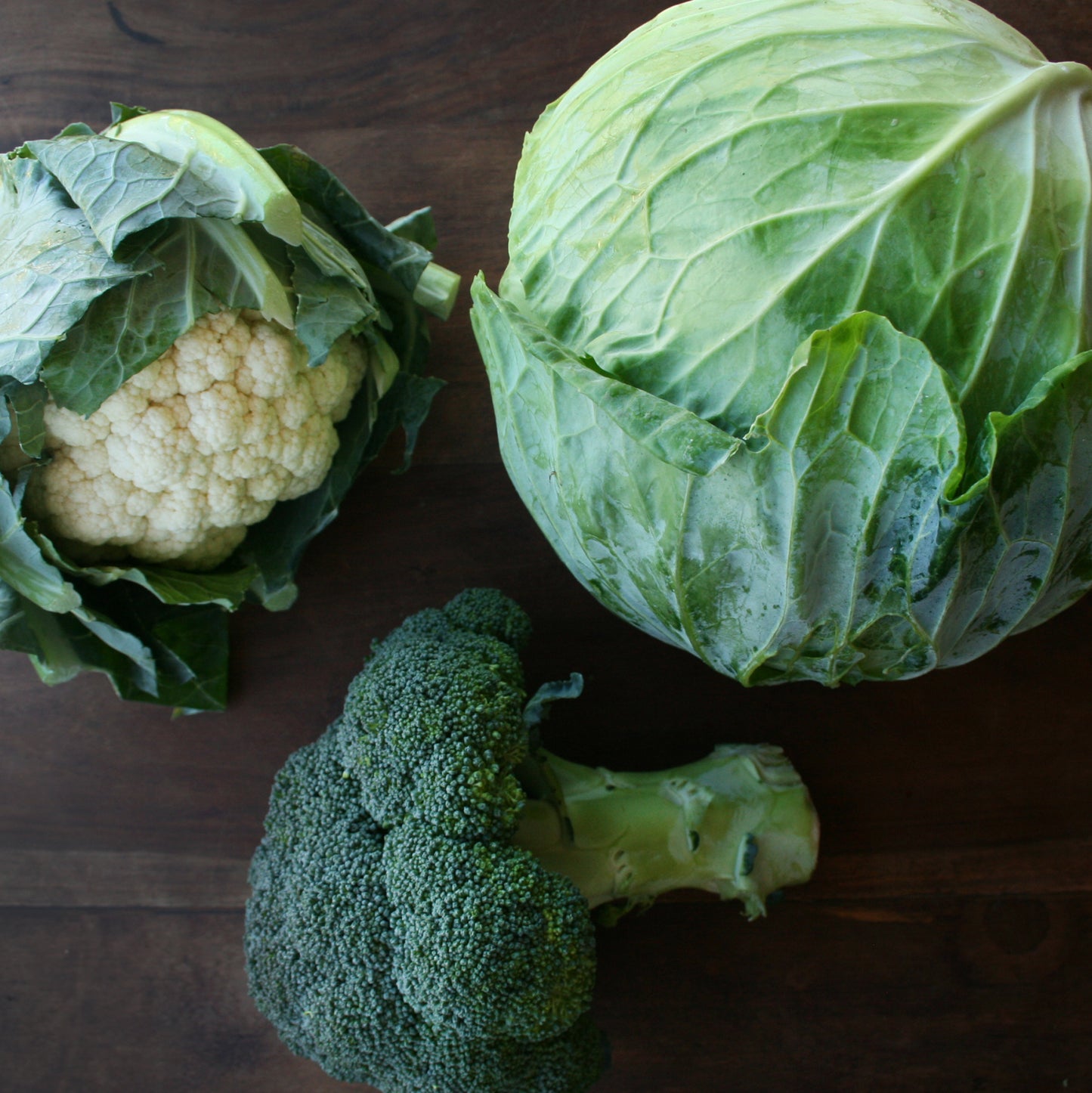 Gourmet Brassica Mix Seedlings (Cauliflower, Broccoli, Cabbage)