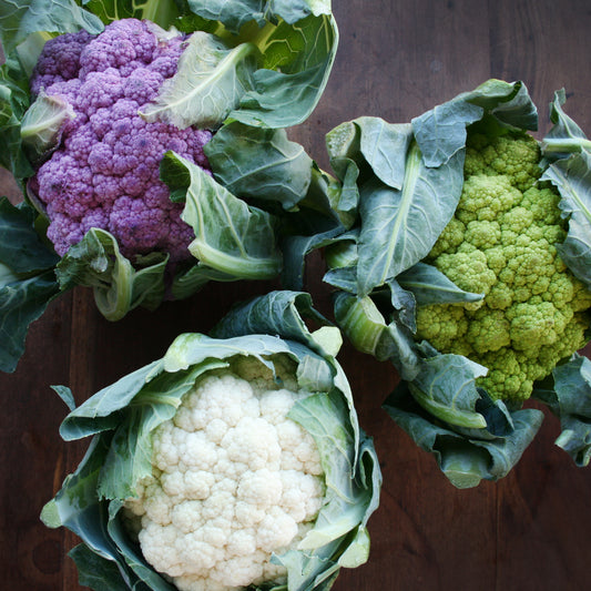 Cauliflower Gourmet Mix Seedlings (White, Green, Purple)