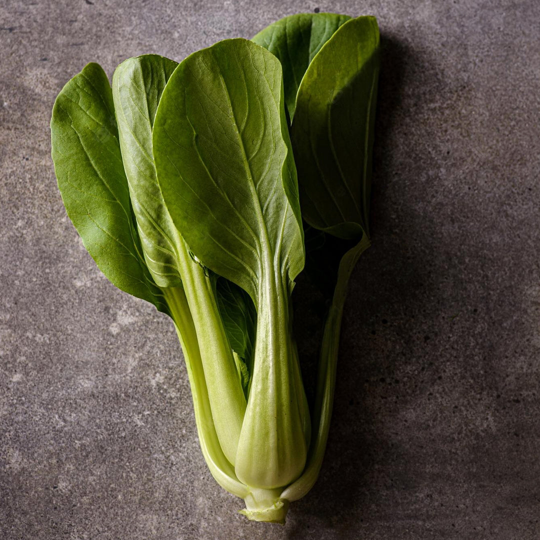 Bok Choi – Pak Choi Seedlings